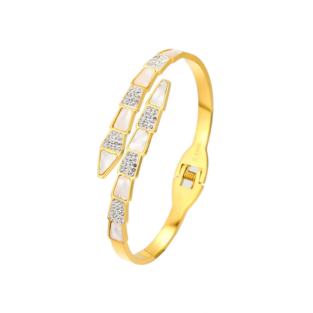Bracelet Serpent Luxueux en Acier Inoxydable sur fond blanc