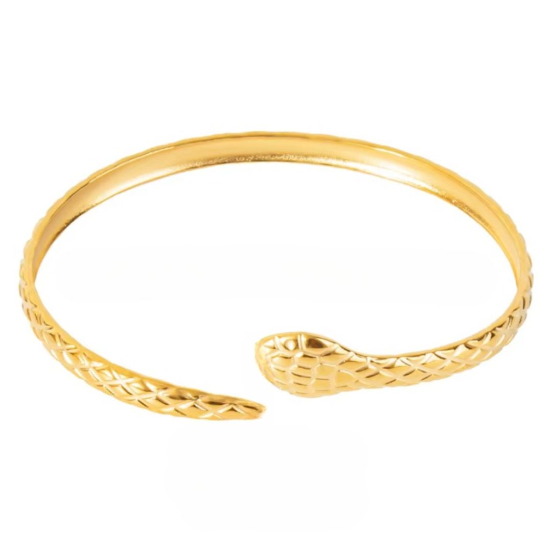 Bracelet Serpent Simple en Acier Inoxydable sur fond blanc