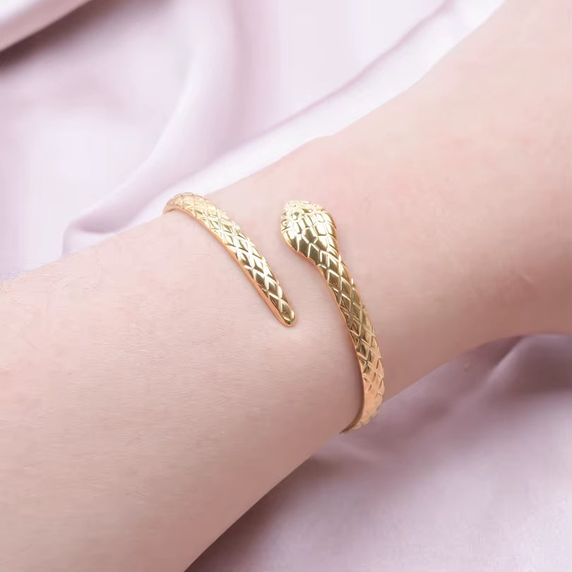 Bracelet Serpent Simple en Acier Inoxydable
