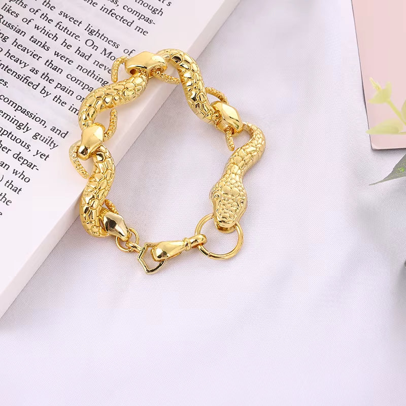 Bracelet Serpent Vintage en Acier Inoxydable sur fond blanc d'un livre