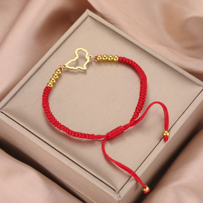 Bracelet Africain Femme Cordon Tressé Et Acier Inoxydable