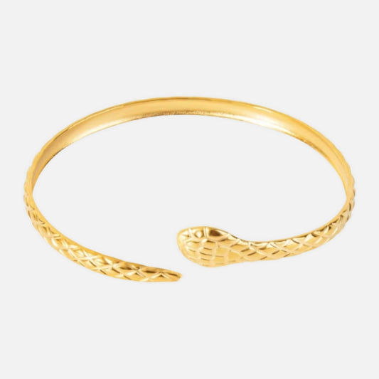 Bracelet Serpent Simple en Acier Inoxydable