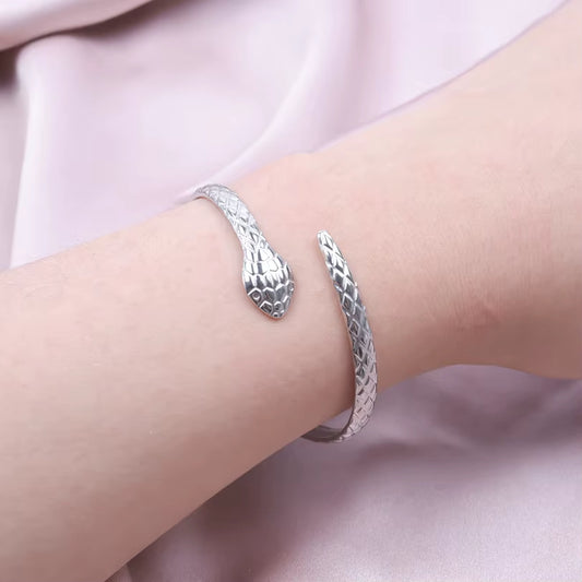 Bracelet Serpent Simple en Acier Inoxydable